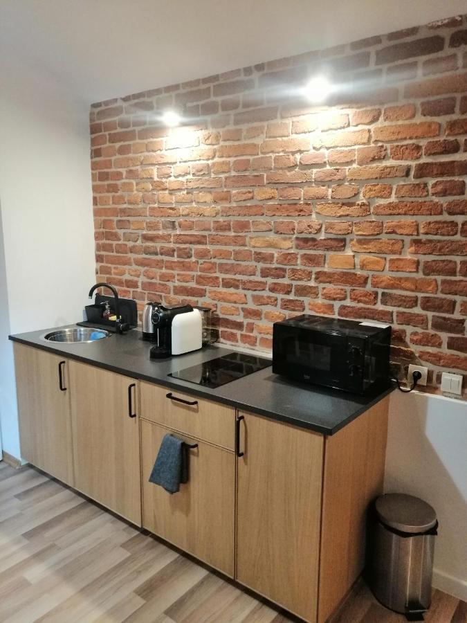 Apartament Pod Wawelem クラクフ エクステリア 写真